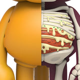 Mighty Jaxx XXRAY Plus Garfield